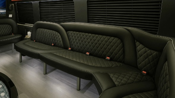 dayton 14 passenger sprinter limousine inside
