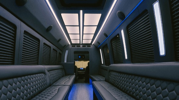dayton 20 passenger party bus interior